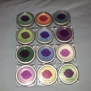 Summer Lovin 💕 scentsy bundle [13]